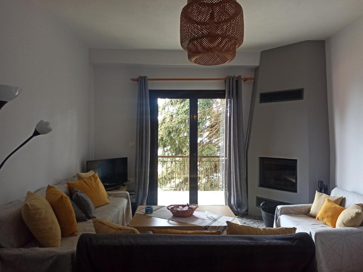 Apartamento Efthymia'S House - Τζάκι & Parking Synikia Mesi Trikalon Exterior foto