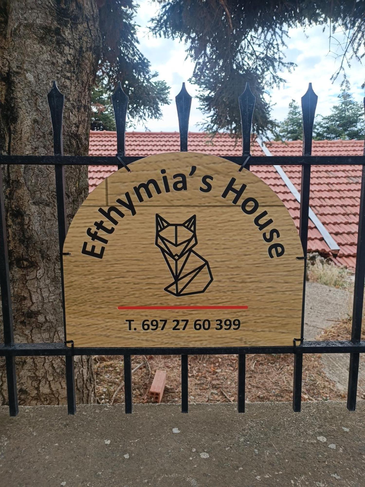 Apartamento Efthymia'S House - Τζάκι & Parking Synikia Mesi Trikalon Exterior foto